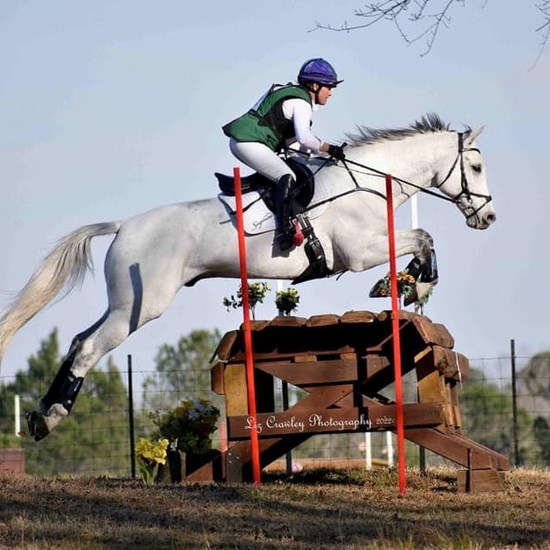 "emily and rio pine top.jpeg"