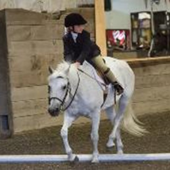 "liz tori poles.jpg"