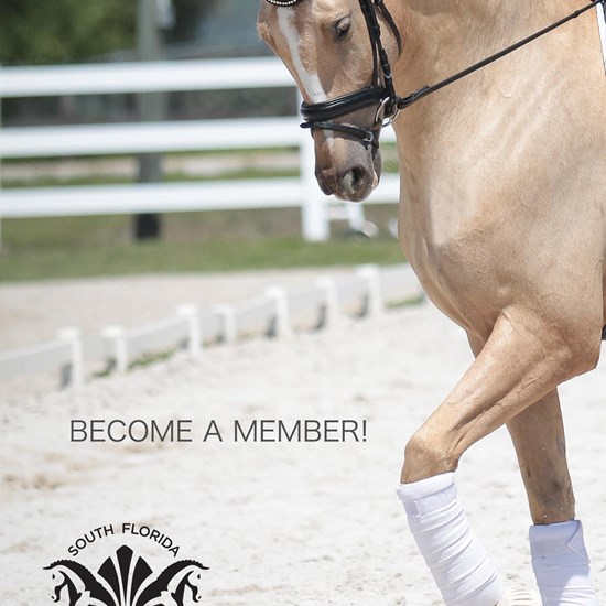 "Ad eventclinics membership.jpg"