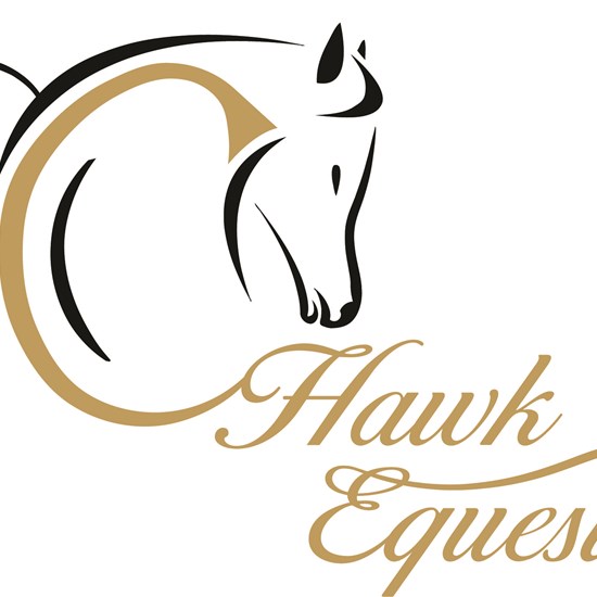 "CHawkEquestrian logo r.jpg"