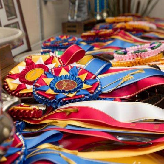 "Ribbons.jpg"