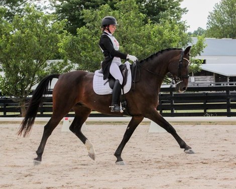 "dressage photo.jpg"