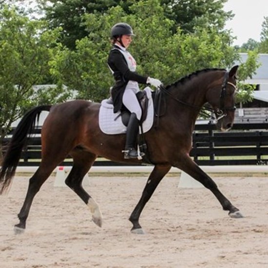 "dressage photo.jpg"