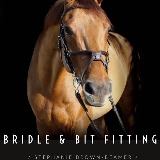 "Bridle and Bit Fitting.jpg"