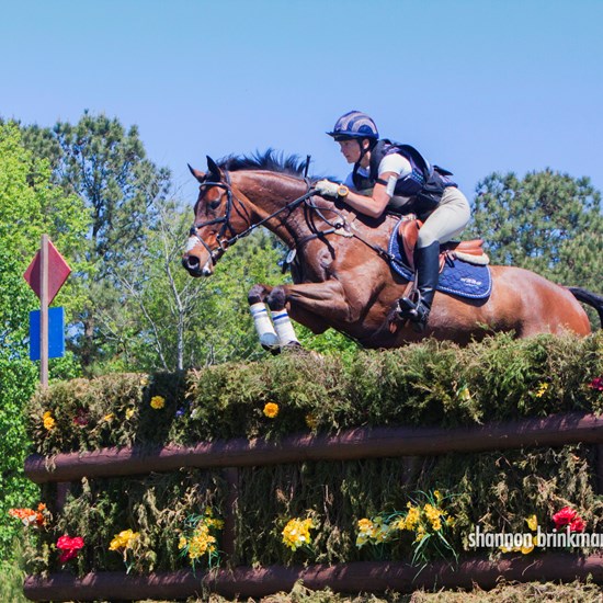 "fork2012brinkman4-7xcBH2-59-37.jpg"