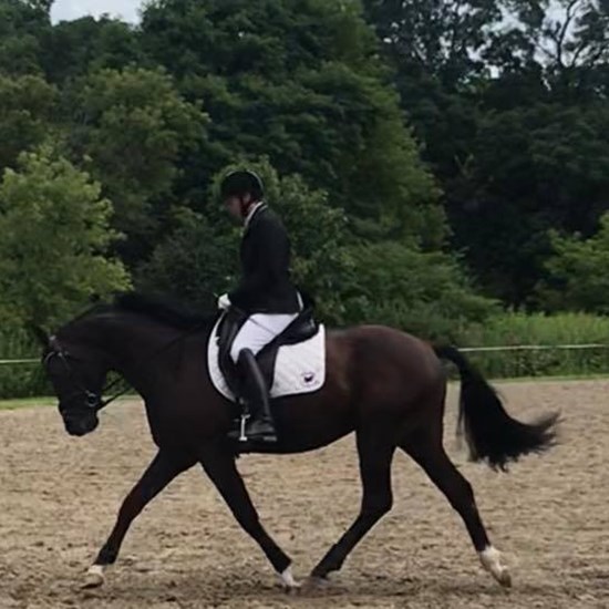 "635CAB21-3523-48BC-BF8B-609F4150A31F.jpeg"