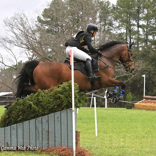 "Booli_Eventing_Classic_Clinic.jpg"