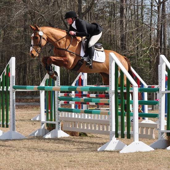 "KWherley - PineTop Advanced 2015 - HoofClix high res.jpg"