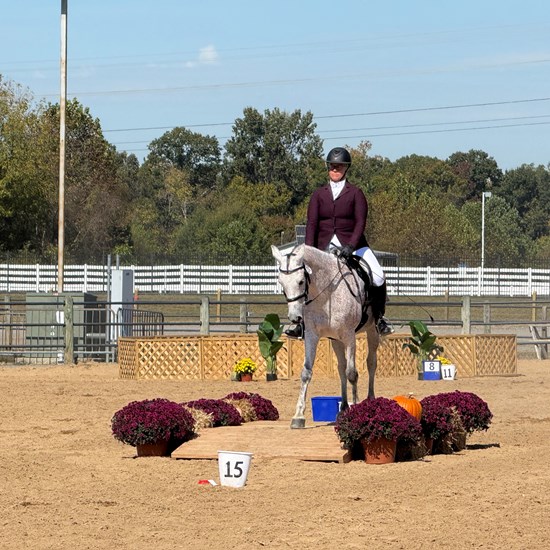 "wyatt BridgeIMG_2082.jpeg"