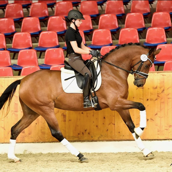 "Screen Shot 2019-08-29 at 2.35.26 PM.png"