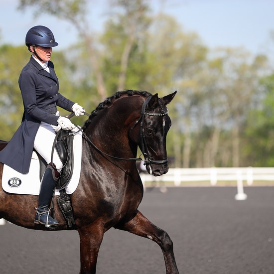"Loch Moy Dressage, Photo by Annan Hepner-30 (1).jpg"