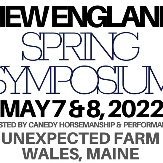 "NESS LOGO (1) (1).jpg"