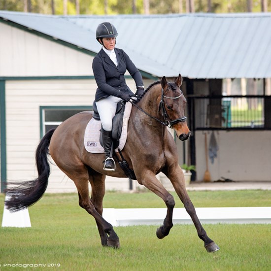 "7AB31168-71FD-4760-9470-0D8BD8A769F9.jpeg"