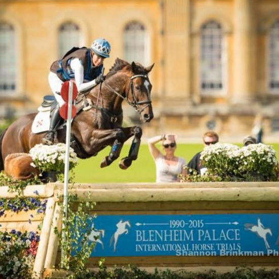 "KateChadderton_Blenheim_EventClinics.png"