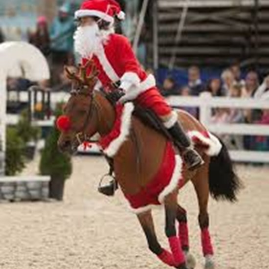 "tacky sweater horse.jpeg"