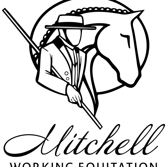 "MDS_WorkEq.png"