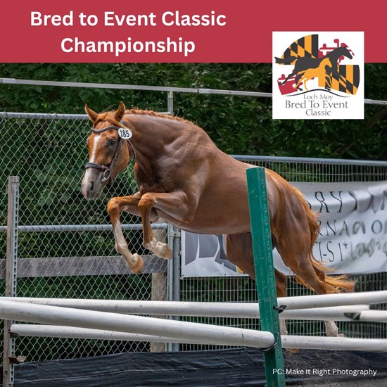 "Bred to Event Championship September 2025.jpg"