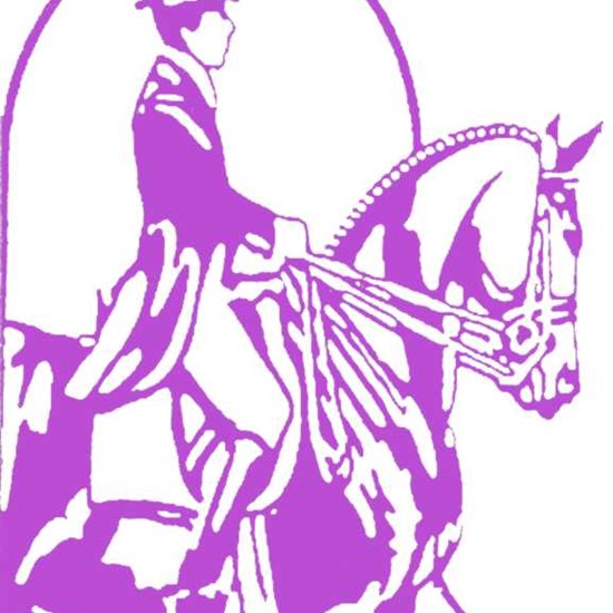 "VNpurple (002).jpg"