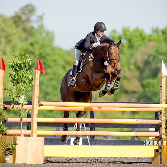"fork2012brinkman4-8TTsj1-204-2-49.jpg"