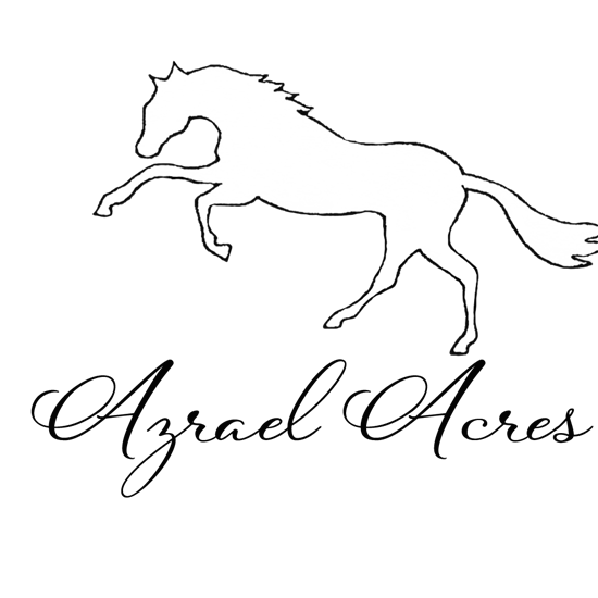 "Azrael Logo.png"