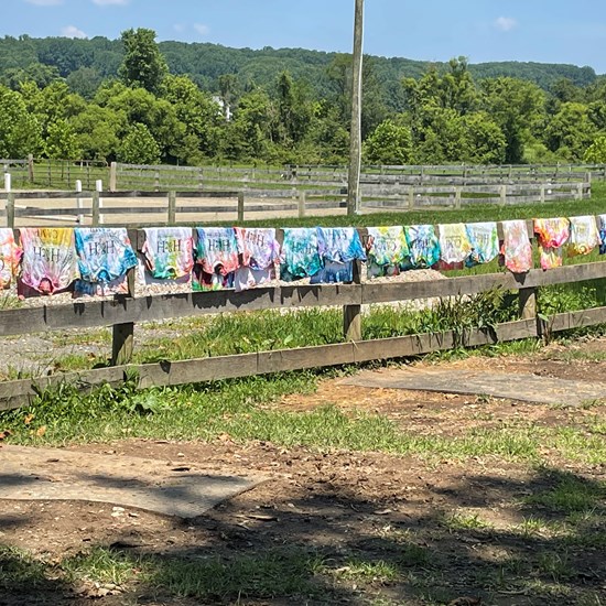 "Tie Dye Shirts2.jpg"