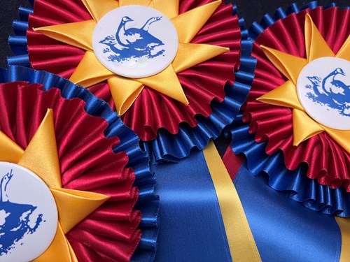 "CH BGS Ribbons IMG-1462.jpg"