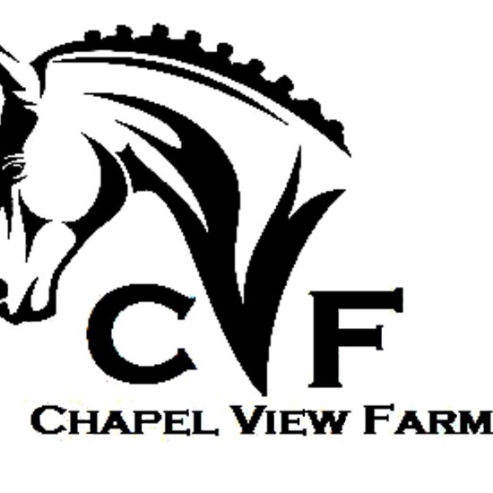 "Chapel View Logo Clean.jpg"