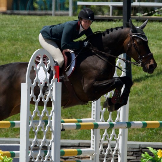 "2236E030-22BE-4A55-AA68-5413A07849B7.jpeg"