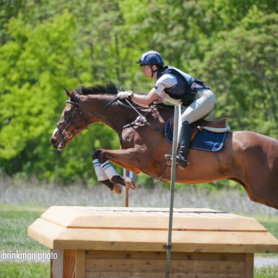 "fork2012brinkman4-7xc3-383-26.jpg"