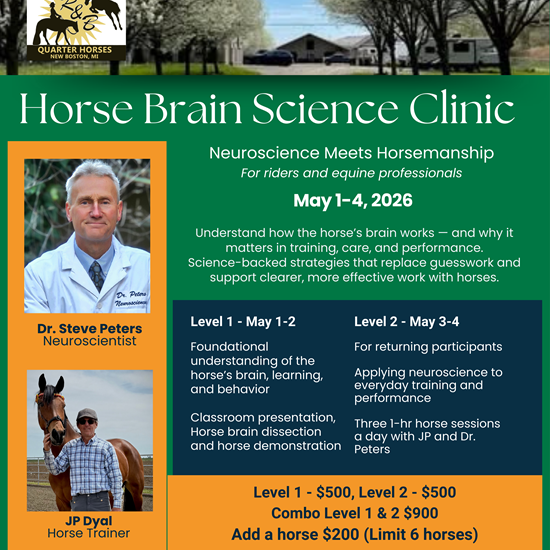 "New Boston Flyer final copy.png"