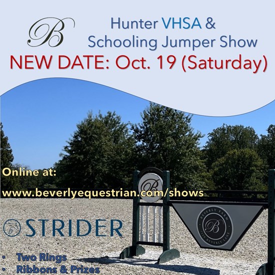 "2024 October VHSA Hunter Sch Jumpers.jpg"