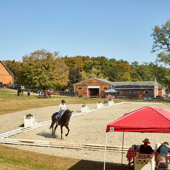 "20251004_IMG_8087.jpg"