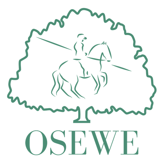 "OSEWE Outline PSD Green copy.png"
