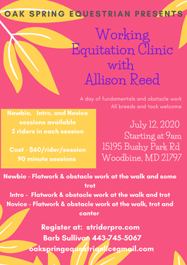 "Working Equitation Clinic with Allison Reed July flyer.png"