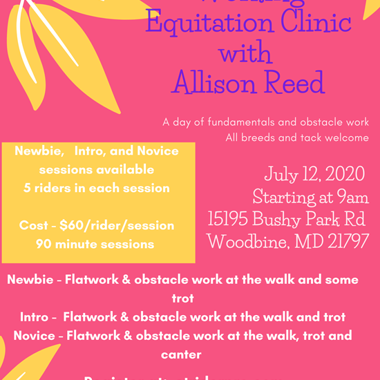 "Working Equitation Clinic with Allison Reed July flyer.png"
