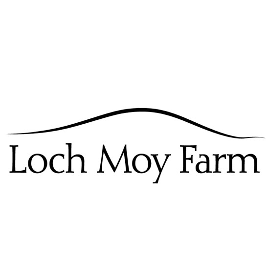 "lochmoy.jpg"