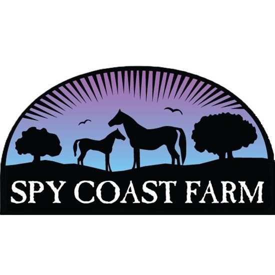 "Spy_logo High Res JPEG No Background.jpeg"