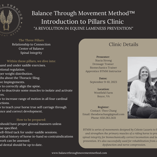 "BTMM Clinic_Stacia_ Boyce, VA.png"
