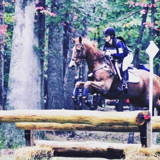 "Danny Loch Moy intermediate XC oxer.jpg"