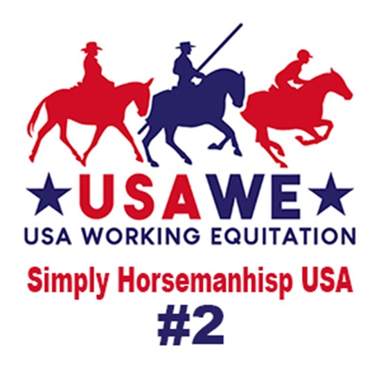 "Strider pro 2 .jpg"