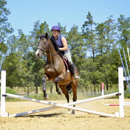 "Messenger_creation_F4C63C38-CCD7-4EB5-A5E3-112FF8606710.jpeg"