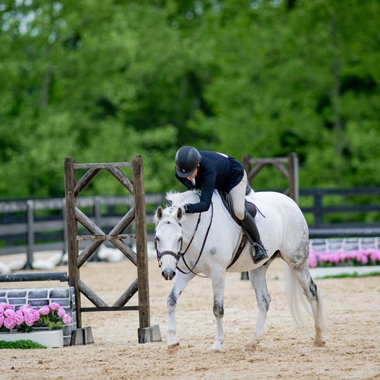 "05172025MPSSSchoolingHunterKT-9108.jpg"