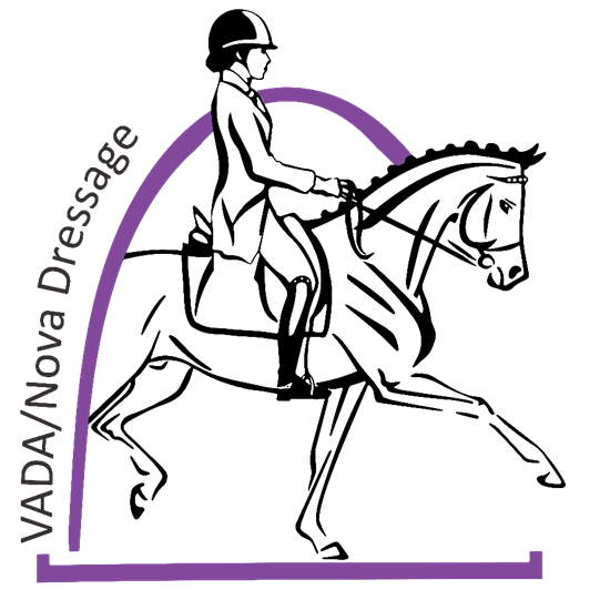 "VN Logo (1).png"