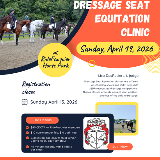 "CDCTA DSE Clinic 2026.png"