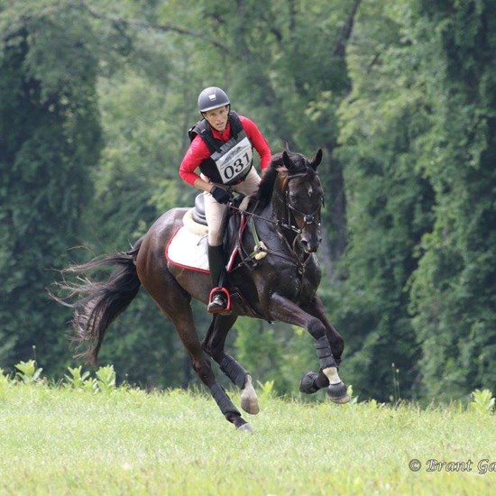 "gallop.jpg"